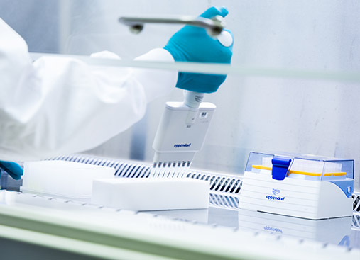 InnoSyn biocatalysis delivers sustainable solutions using advanced enzyme screening and optimization for chemical synthesis.