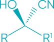 InnoSyn provides custom synthesis, process optimization, and pilot-scale manufacturing for innovative chemical production.